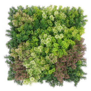 Moss coral mix, dílec 50 x 50 cm